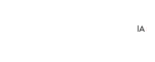 Automatic IA